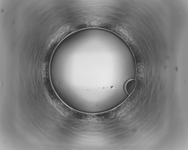 X0000087750738200705211037