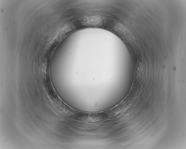 X0000087750739200705211037