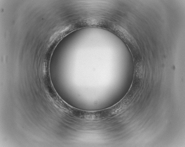 X0000087750740200705211037