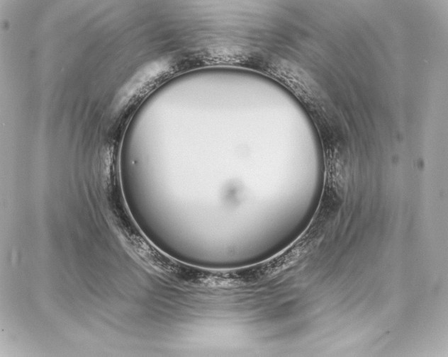 X0000087750742200705211037