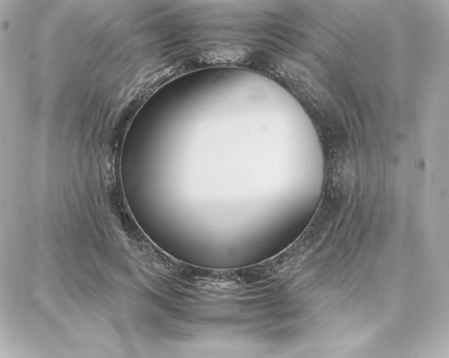 X0000087750743200705211037