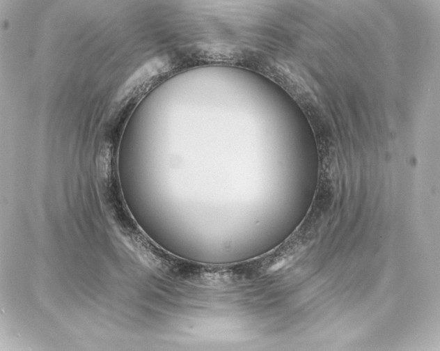 X0000087750744200705211037