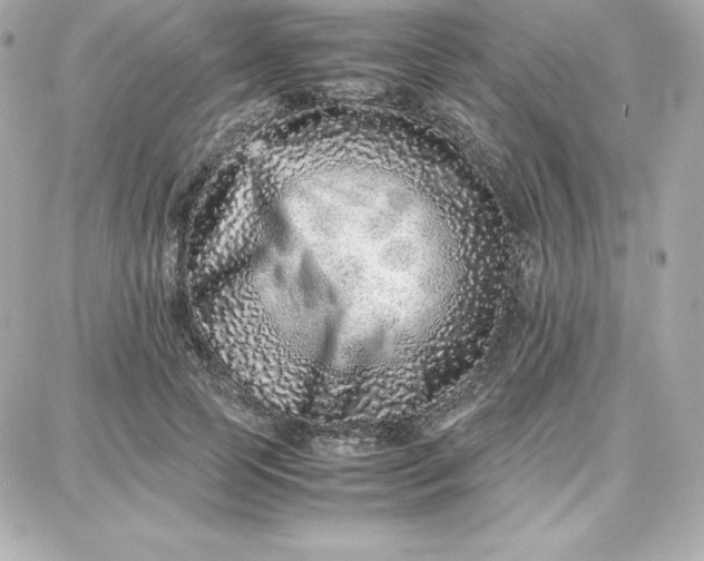 X0000087750745200705211037