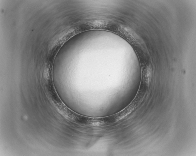 X0000087750746200705211037