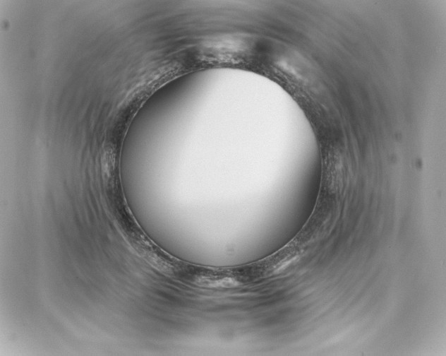 X0000087750747200705211037