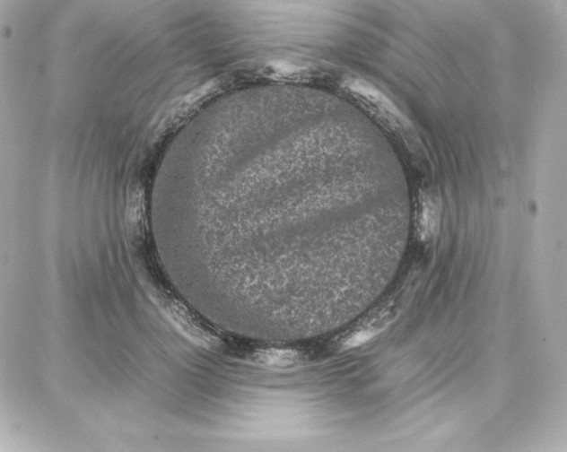 X0000087750748200705211037