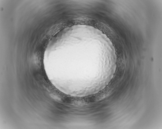 X0000087750749200705211037