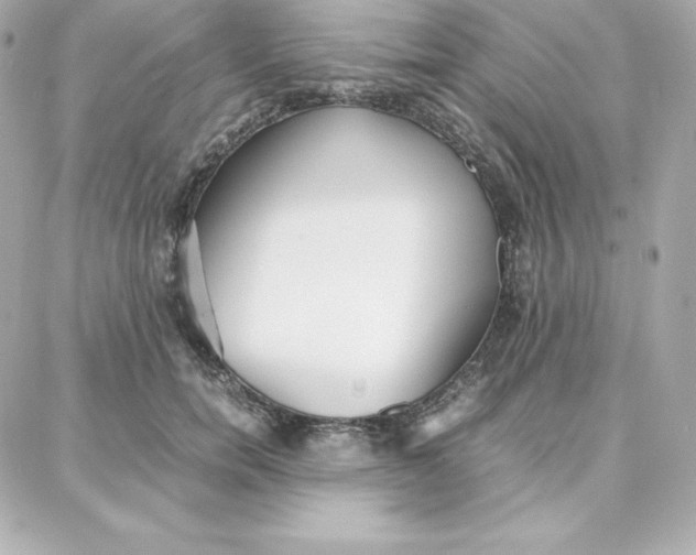 X0000087750750200705211037