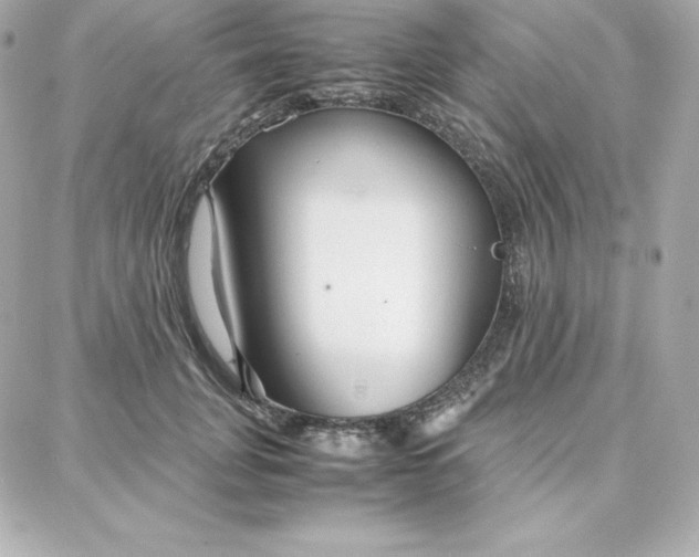 X0000087750751200705211037