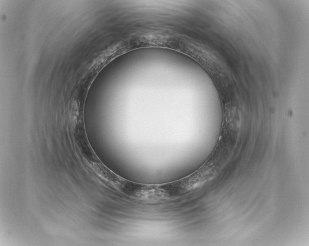 X0000087750752200705211037