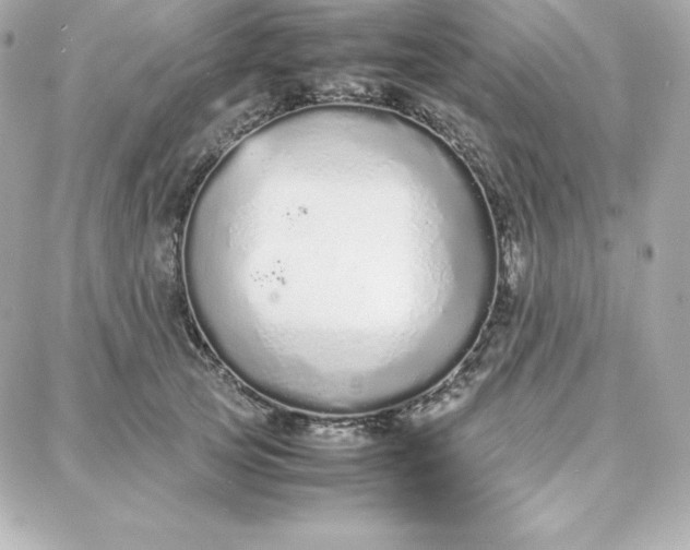 X0000087750753200705211037