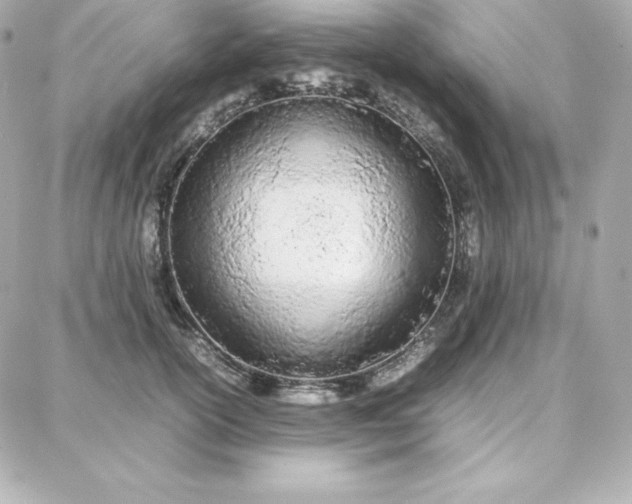 X0000087750754200705211037