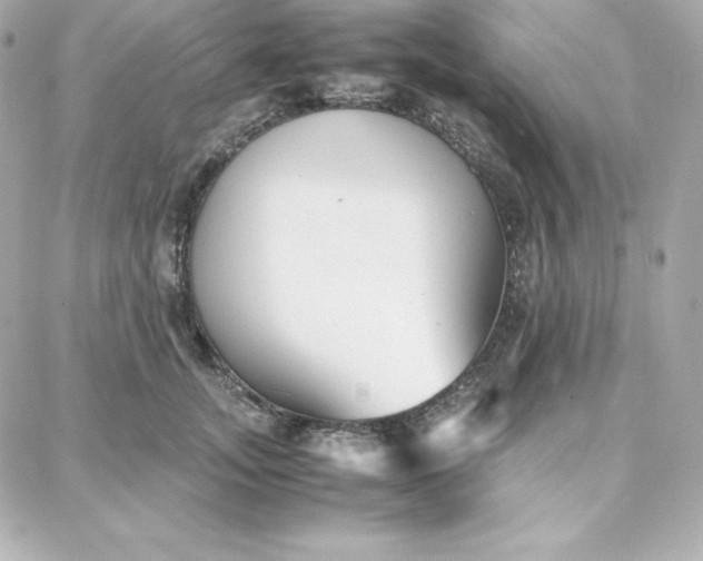 X0000087750755200705211037