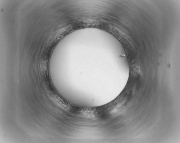 X0000087750756200705211037