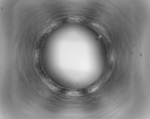 X0000087750759200705211037