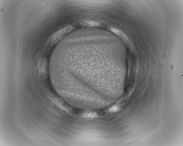 X0000087750760200705211037