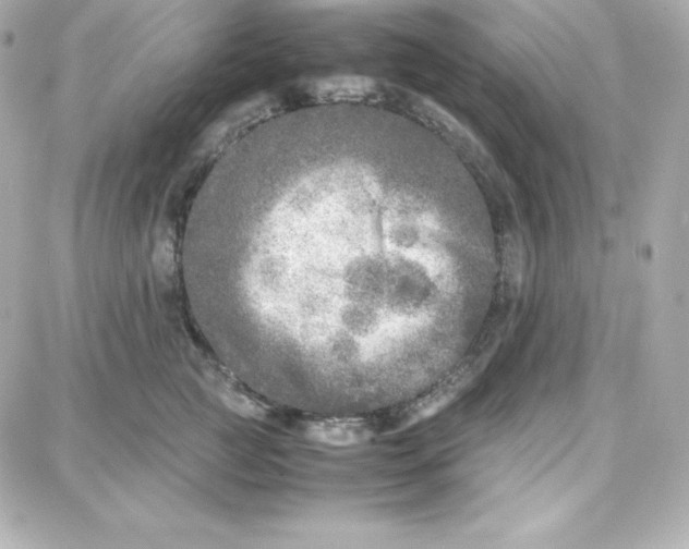 X0000087750761200705211037