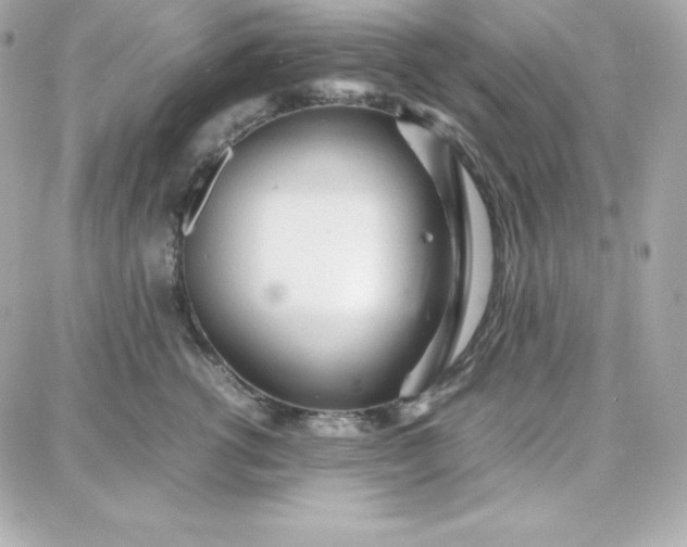 X0000087750762200705211037