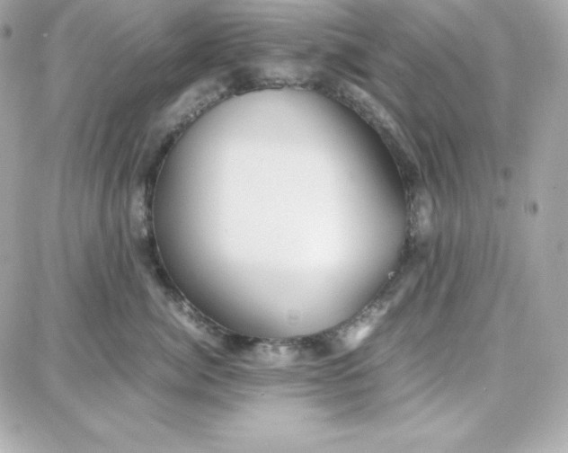 X0000087750764200705211037