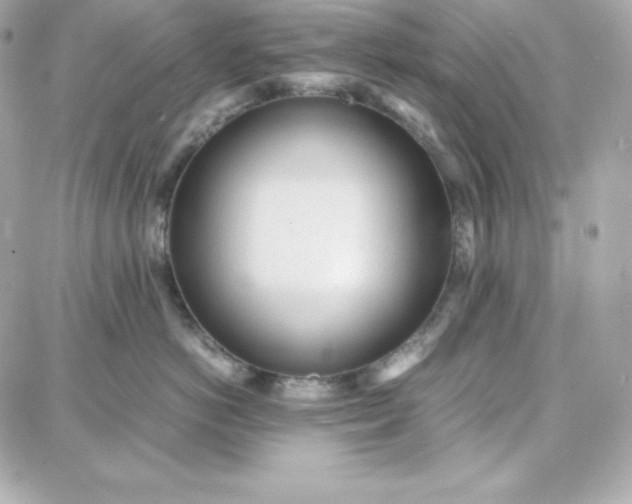 X0000087750766200705211037