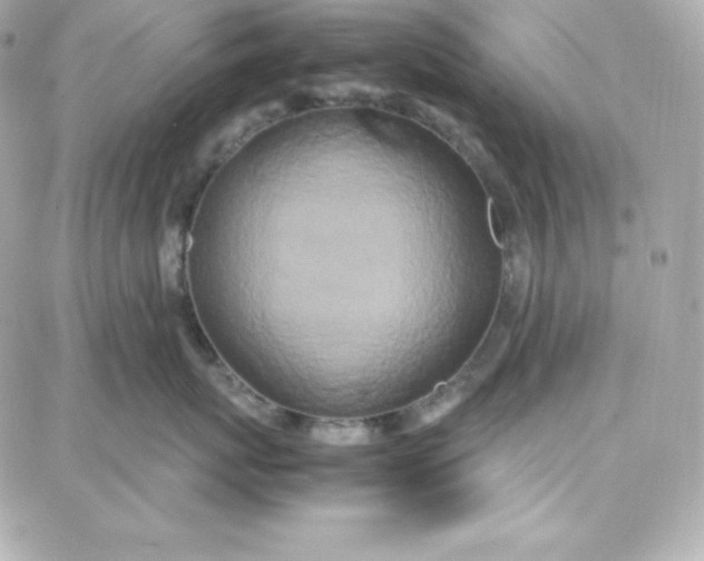 X0000087750767200705211037