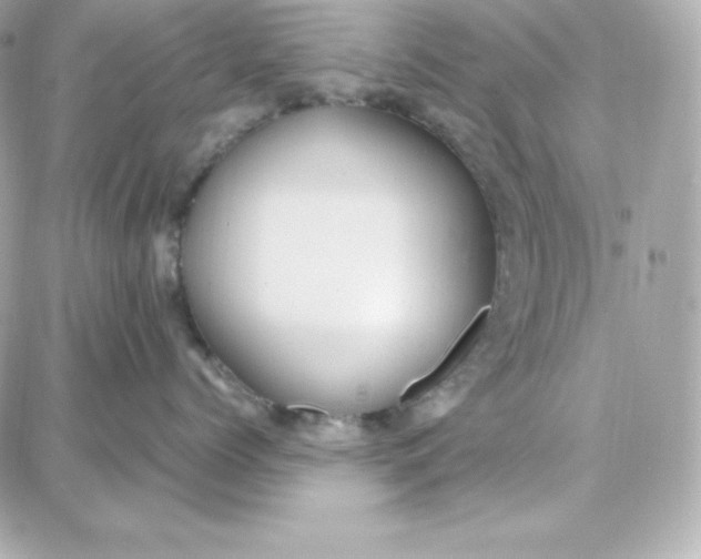 X0000087750768200705211037