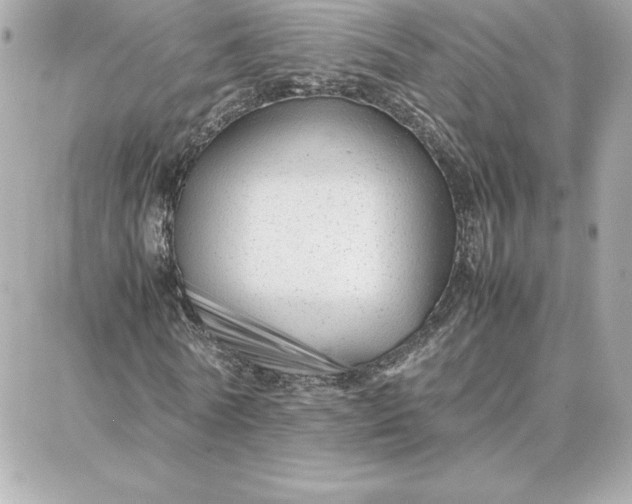 X0000087750770200705211036