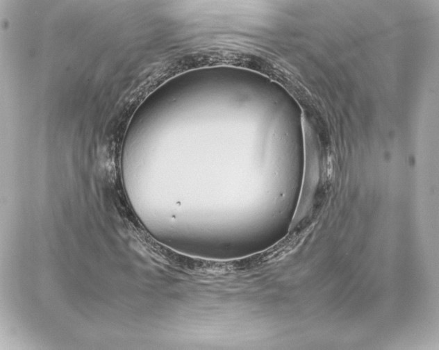 X0000087750771200705211036