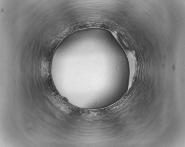 X0000087750772200705211036