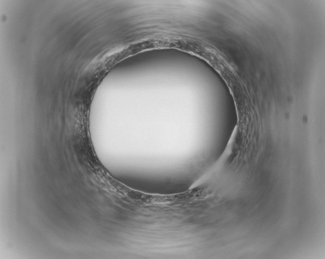 X0000087750773200705211036