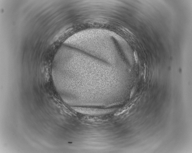 X0000087750774200705211036