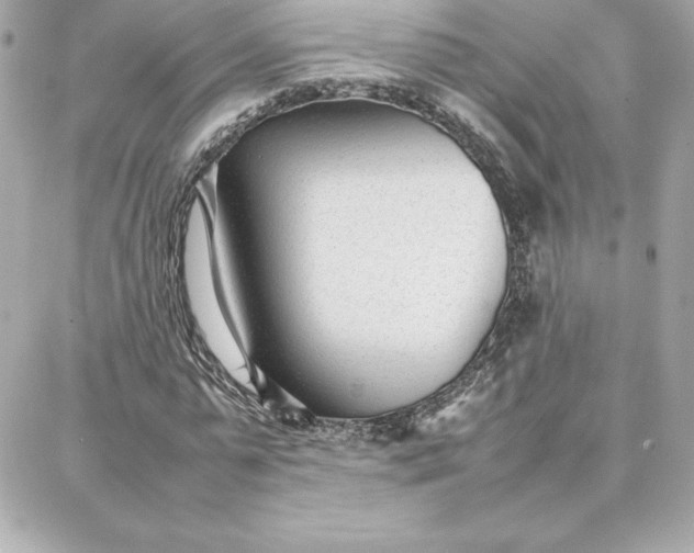 X0000087750775200705211036