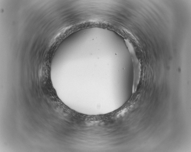 X0000087750776200705211036