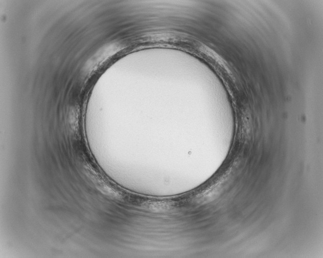 X0000087750778200705211036