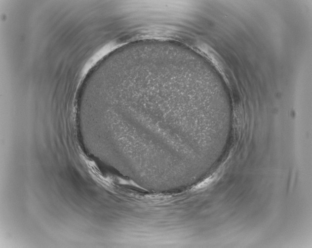 X0000087750779200705211036