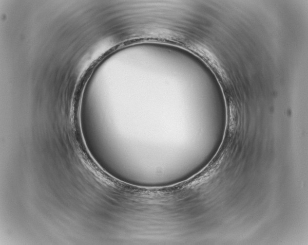 X0000087750780200705211036