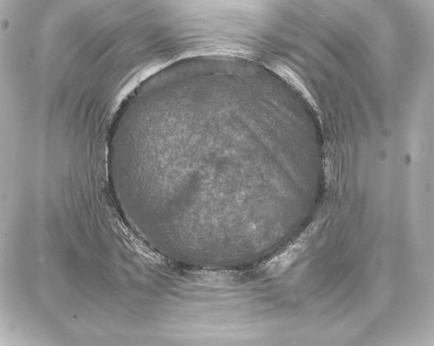 X0000087750781200705211036