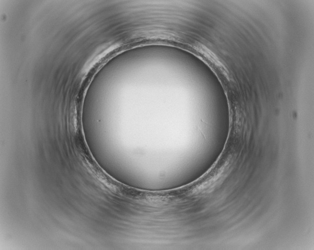 X0000087750782200705211036