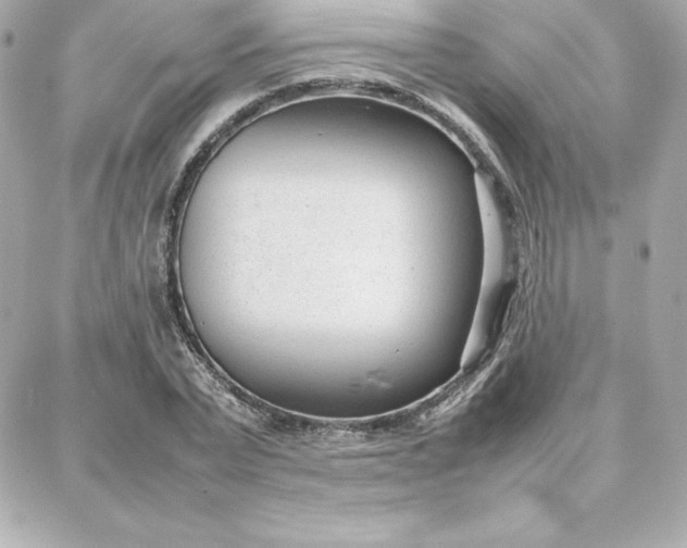 X0000087750783200705211036