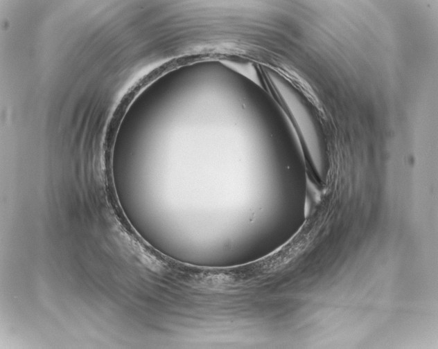 X0000087750784200705211036