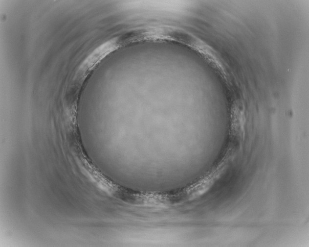 X0000087750785200705211036