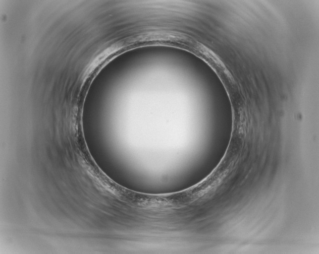 X0000087750786200705211036