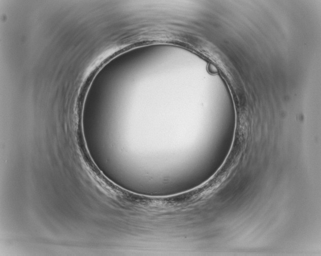 X0000087750787200705211036