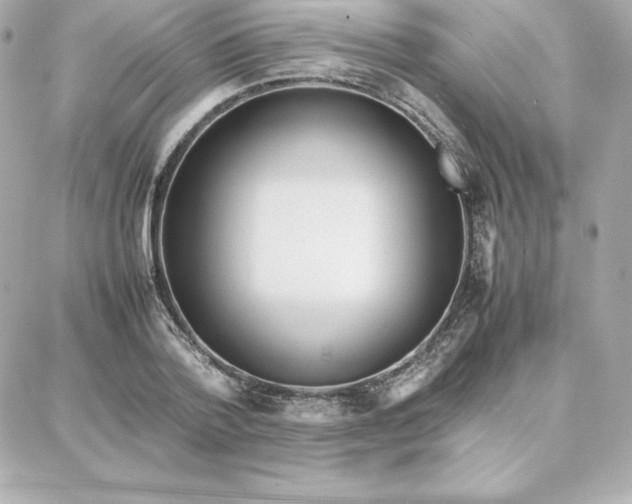 X0000087750788200705211036