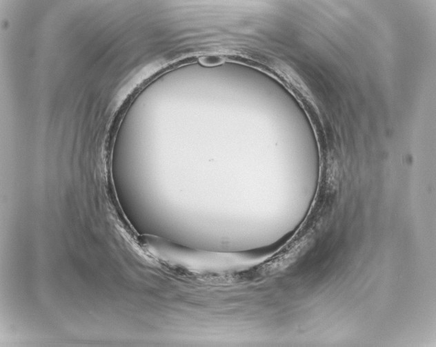 X0000087750789200705211036