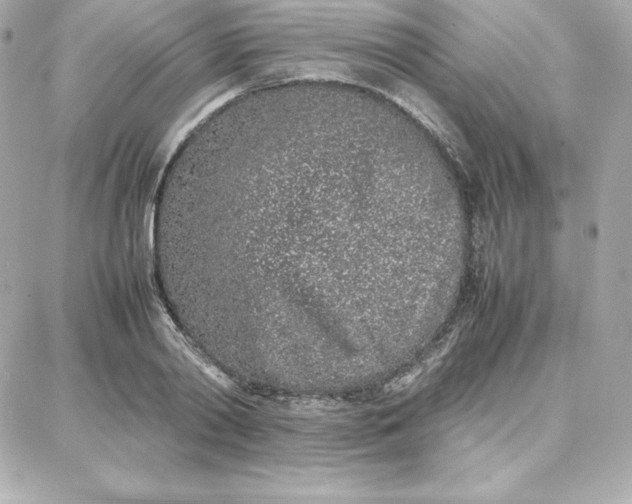 X0000087750790200705211036