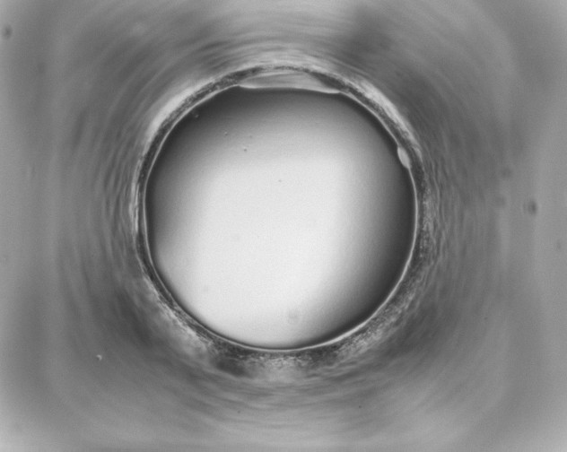 X0000087750791200705211036