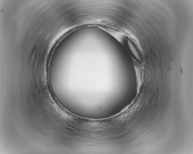 X0000087750792200705211036