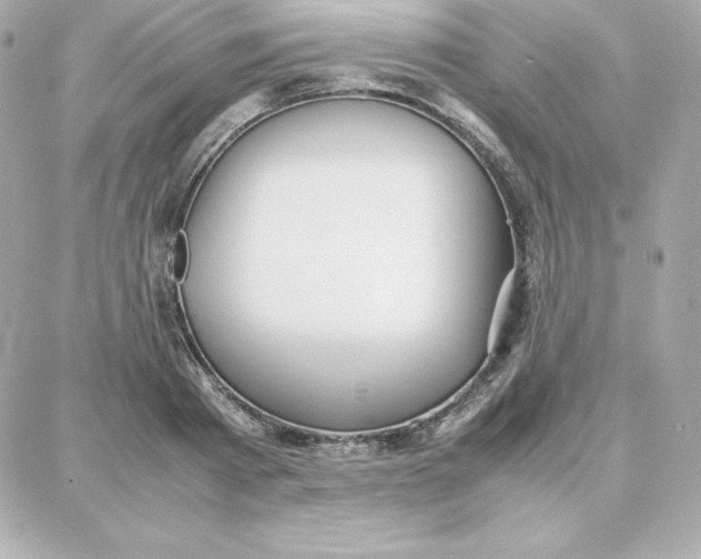 X0000087750793200705211036