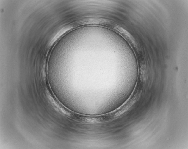 X0000087750794200705211036